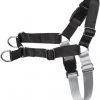 Frisco Basic No Pull Harness -PetNest Shop 277871 MAIN. SY630 V1629765595