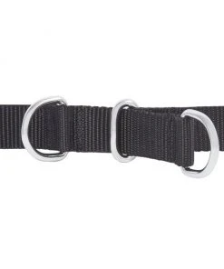 Frisco Basic No Pull Harness -PetNest Shop 277871 PT2. SY630 V1629758686