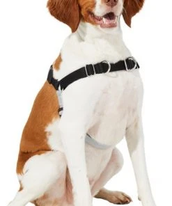 Frisco Basic No Pull Harness -PetNest Shop 277871 PT3. SY630 V1629755870