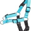 Frisco Padded Reflective No Pull Harness -PetNest Shop 277892 MAIN. SY630 V1629765598