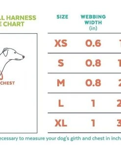 Frisco Padded Reflective No Pull Harness -PetNest Shop 277892 PT1. SY630 V1650651082