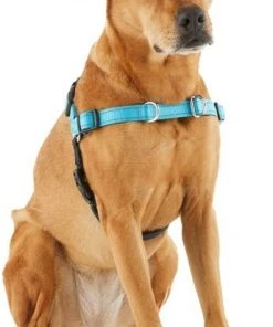 Frisco Padded Reflective No Pull Harness -PetNest Shop 277892 PT3. SY630 V1629758833