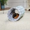 Frisco Small Pet Geometric Crinkle Plush Tunnel -PetNest Shop 278125 MAIN. SY630 V1629465653