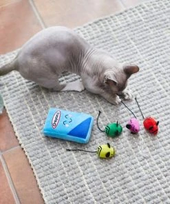 Frisco Crayon Box Plush Mice Cat Toy with Catnip, 5 count 9 Frisco Crayon Box Plush Mice Cat Toy with Catnip, 5 count -PetNest Shop 279413 PT3. SY630 V1628191453