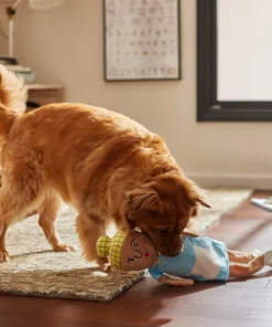 Frisco School Lunch Lady Plush Squeaky Dog Toy -PetNest Shop 279449 PT3. SY630 V1628191320