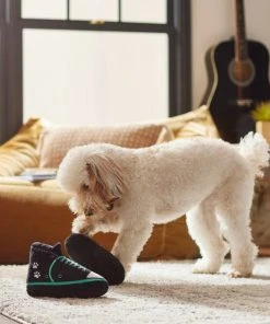 Frisco Sneakers Plush Squeaky Dog Toy, 2 count -PetNest Shop 279453 PT3. SY630 V1628191213