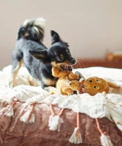 Frisco Kangaroo & Joey Plush Squeaky Dog Toy, 2 count -PetNest Shop 285601 PT3. SY630 V1629725095