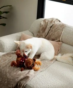 Frisco Hipster Moose Plush Squeaky Dog Toy -PetNest Shop 285603 PT3. SY630 V1629725389