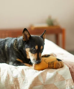 Frisco Boot Plush Squeaky Dog Toy -PetNest Shop 285619 PT3. SY630 V1629724969