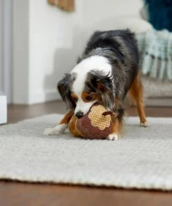 Frisco Fall Acorn Plush Squeaky Dog Toy -PetNest Shop 285623 PT3. SY630 V1629725222