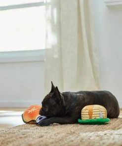 Frisco Pancakes & Maple Syrup Plush Squeaky Dog Toy, 2 count -PetNest Shop 285627 PT3. SY630 V1629725170