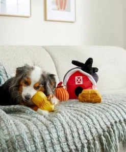 Frisco Farmhouse Hide & Seek Puzzle Plush Squeaky Dog Toy -PetNest Shop 285629 PT3. SY630 V1629725107