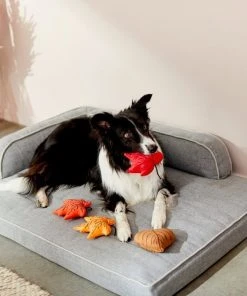 Frisco Fall Leaves Plush Squeaky Dog Toy, 4 count -PetNest Shop 285637 PT3. SY630 V1629725195