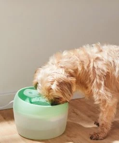 Frisco Whimsical Leaf Round Dog & Cat Fountain, 50-oz, Mint Green -PetNest Shop 285758 PT4. SY630 V1623428580