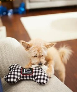 Frisco Holiday "All Is Bright" Reversible Bone Plush Squeaky Dog Toy -PetNest Shop 287191 PT3. SY630 V1632773193