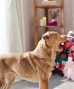 Frisco Zombie Plush with Rope Squeaky Dog Toy -PetNest Shop 287221 PT3. SY630 V1632776815