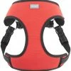 Frisco Padded Step-In Harness -PetNest Shop 287449 MAIN. SY630 V1638385905