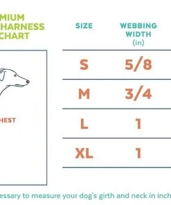 Frisco Padded Step-In Harness -PetNest Shop 287449 PT1. SY630 V1631899269