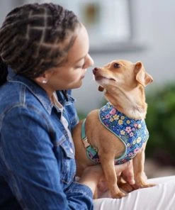 Frisco Fashion Over-The-Head Harness, Tropical Floral -PetNest Shop 287471 PT8. SY630 V1632316061