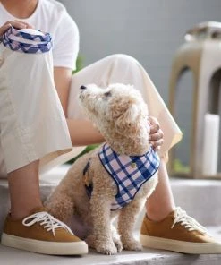 Frisco Fashion Over-The-Head Harness, Pink Plaid -PetNest Shop 287473 PT8. SY630 V1632316391