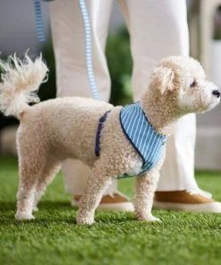 Frisco Fashion Over-The-Head Harness, Striped -PetNest Shop 287474 PT8. SY630 V1632316647
