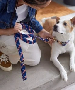 Frisco Fashion Leash, Brown Plaid -PetNest Shop 287491 PT8. SY630 V1632317010