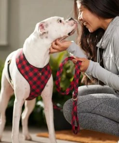 Frisco Fashion Leash, Buffalo Plaid -PetNest Shop 287498 PT8. SY630 V1632315183
