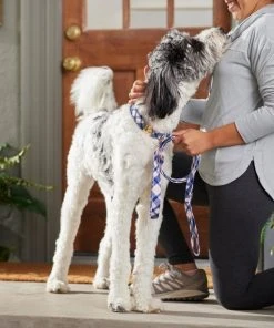 Frisco Fashion Leash, Pink Plaid -PetNest Shop 287499 PT8. SY630 V1632316895