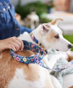 Frisco Fashion Leash, Tropical Floral -PetNest Shop 287502 PT8. SY630 V1632315857