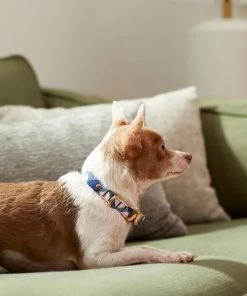 Frisco Fashion Collar, Pink Plaid -PetNest Shop 287510 PT8. SY630 V1632316374