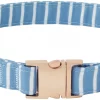 Frisco Fashion Collar, Striped -PetNest Shop 287511 MAIN. SY630 V1632316934