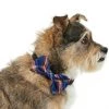 Frisco Fashion Bow, Blue Plaid, XS/SM -PetNest Shop 287528 MAIN. SY630 V1632279078