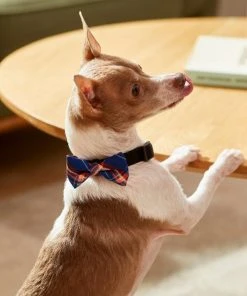 Frisco Fashion Bow, Blue Plaid, XS/SM -PetNest Shop 287528 PT8. SY630 V1632316622