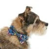 Frisco Fashion Bow, Tropical Floral -PetNest Shop 287529 MAIN. SY630 V1632279086