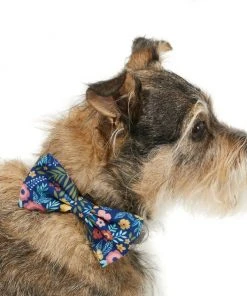 Frisco Fashion Bow, Tropical Floral