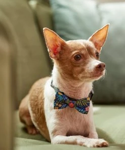 Frisco Fashion Bow, Tropical Floral -PetNest Shop 287529 PT8. SY630 V1632315568