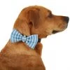 Frisco Fashion Bow, Striped 2 Frisco Fashion Bow, Striped -PetNest Shop 287532 MAIN. SY630 V1632279166