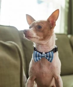 Frisco Fashion Bow, Striped -PetNest Shop 287532 PT8. SY630 V1632315586