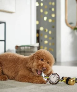 Frisco New Year's Eve Midnight Countdown Plush with Rope Squeaky Dog Toy 7 Frisco New Year's Eve Midnight Countdown Plush with Rope Squeaky Dog Toy -PetNest Shop 288478 PT3. SY630 V1638289625