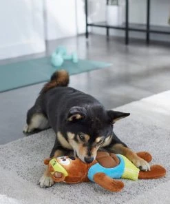 Frisco Fitness Bear Reversible Plush Squeaky Dog Toy 9 Frisco Fitness Bear Reversible Plush Squeaky Dog Toy -PetNest Shop 288897 PT3. SY630 V1638291713