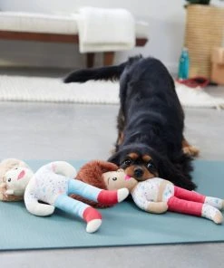 Frisco Dance Girls Plush Squeaky Dog Toy, 2 count -PetNest Shop 288899 PT3. SY630 V1638288432