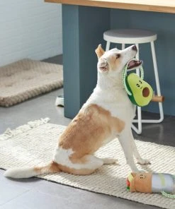 Frisco Healthy Snack Plush with Rope Dog Toy, 2 count 7 Frisco Healthy Snack Plush with Rope Dog Toy, 2 count -PetNest Shop 288901 PT3. SY630 V1638291173