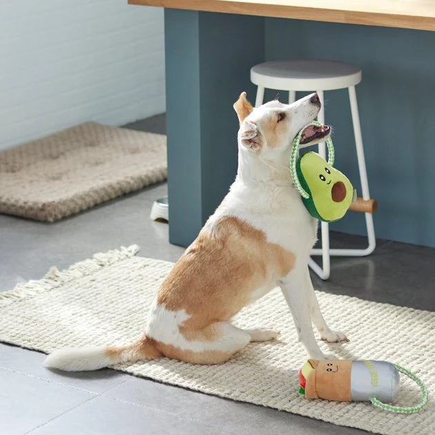 Frisco Healthy Snack Plush with Rope Dog Toy, 2 count 5 Frisco Healthy Snack Plush with Rope Dog Toy, 2 count - Image 3