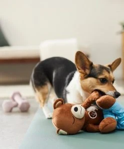 Frisco Yoga Bear Plush Squeaky Dog Toy 7 Frisco Yoga Bear Plush Squeaky Dog Toy -PetNest Shop 288903 PT3. SY630 V1638288516