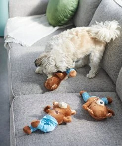 Frisco Yoga Bear Plush Squeaky Dog Toy, 3 count -PetNest Shop 288905 PT3. SY630 V1638291398