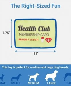 Frisco Gym Membership Card Flat Plush Squeaky Dog Toy -PetNest Shop 288909 PT1. SY630 V1640722985