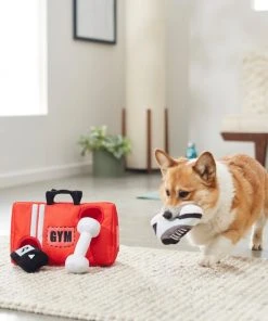 Frisco Gym Bag Hide & Seek Puzzle Plush Squeaky Dog Toy -PetNest Shop 288913 PT3. SY630 V1638289728