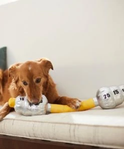 Frisco Weight Bar Wagazoo Plush Squeaky Dog Toy -PetNest Shop 288917 PT3. SY630 V1638292413