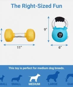 Frisco Dumbell & Kettleball Plush Squeaky Dog Toy, 2 count -PetNest Shop 288919 PT1. SY630 V1640722523