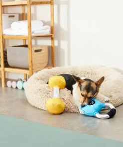 Frisco Dumbell & Kettleball Plush Squeaky Dog Toy, 2 count -PetNest Shop 288919 PT3. SY630 V1638288628